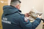 Funkcjonariusz Służby Celno-Skarbowej trzyma woreczki z krajanką tytoniową.
