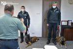 Dwóch funkcjonariuszy Służby Celno-Skarbowej z psami na smyczy, odbiera gratulacje od Naczelnika Warmińsko-Mazurskiego Urzędu Celno-Skarbowego w Olsztynie.