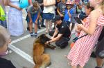 Zdjęcie przedstawia funkcjonariusza, psa służbowego oraz dzieci które robią zdjęcia i bawią się z psem.